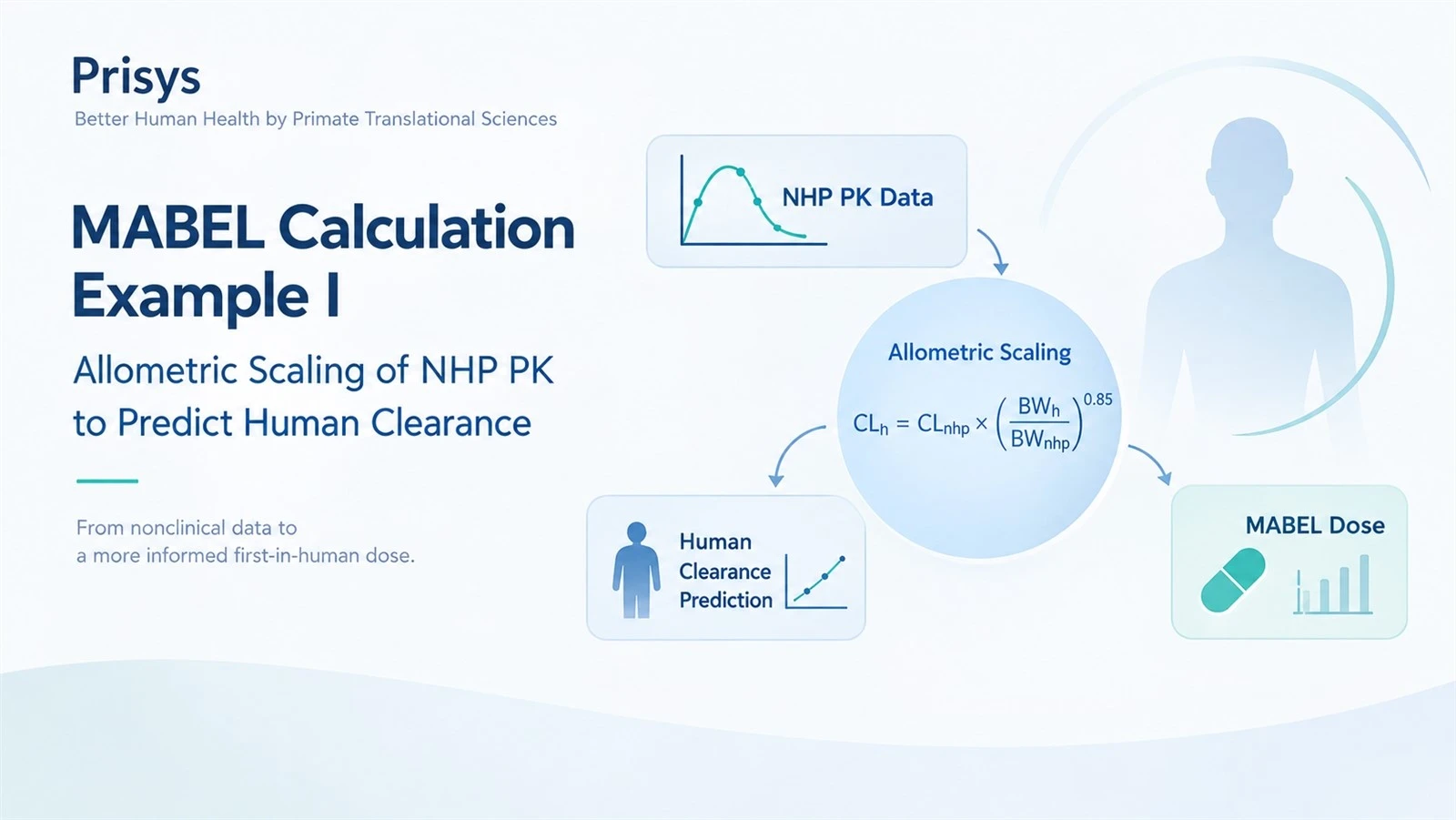 MABEL Calculation NHP PK to Human Dose MABEL Calculation NHP PK to Human Dose