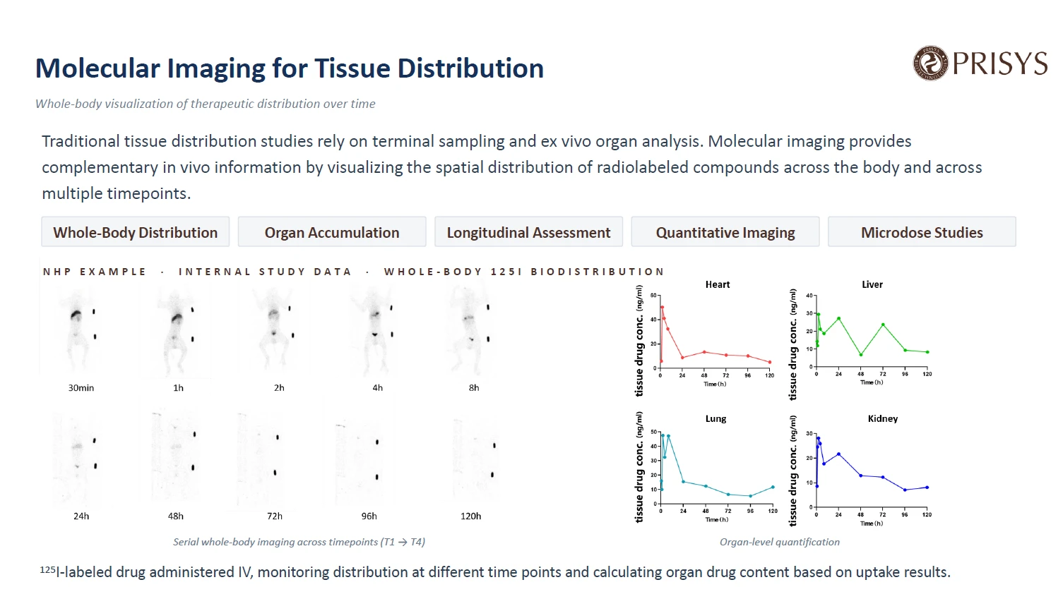 Organ-Level Quantification and Longitudinal 125I Distribution Organ-Level Quantification and Longitudinal 125I Distribution